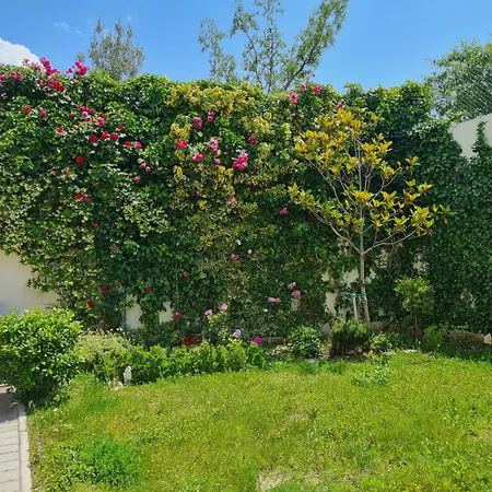 La Rosa Apartman Podstrana