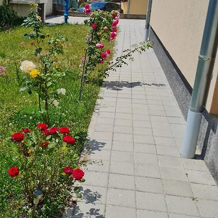 La Rosa Διαμέρισμα *