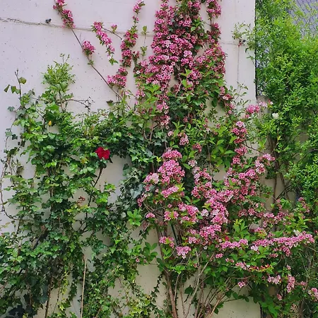 Διαμέρισμα La Rosa *